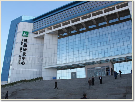 Mengniu Dairy